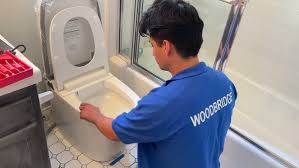 smart toilet installation